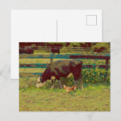 Barnyard Friends Koe & Chicken Briefkaart (Voorkant / Achterkant)