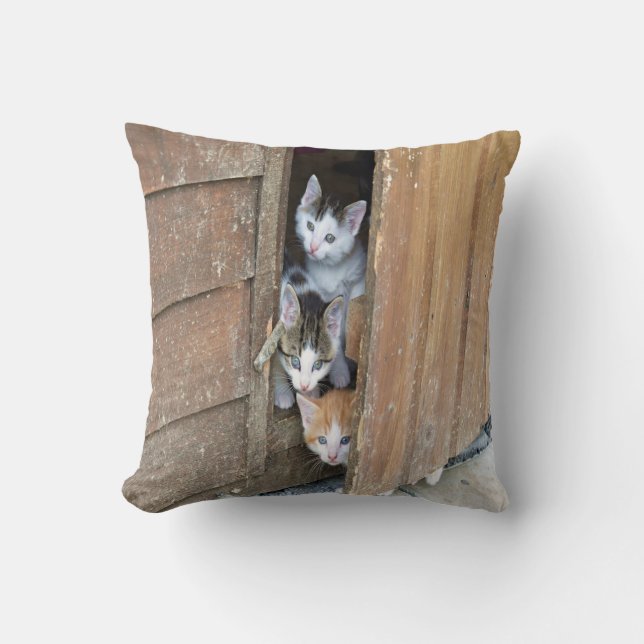 Barnyard Kittens Kussen (Voorkant)