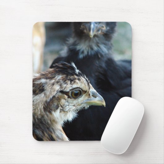 Barnyard Mixed Chicken Muismat (Met muis)