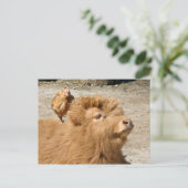 Barnyard vrienden briefkaart (Staand voorkant)