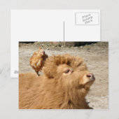 Barnyard vrienden briefkaart (Voorkant / Achterkant)