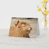 Barnyard vrienden kaart (Gele Bloem)