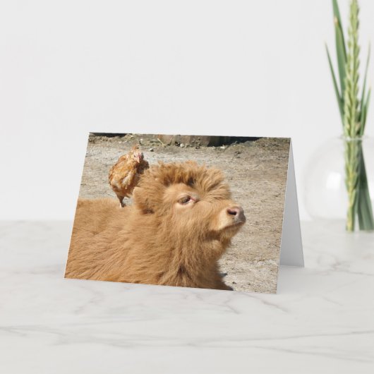 Barnyard vrienden kaart (Voorkant)