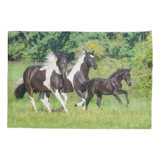 Barock Pinto Horses Herd with Cute Foal Galloping  Kussensloop (Achterkant)