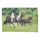 Barock Pinto Horses Herd with Cute Foal Galloping  Kussensloop (Voorkant)