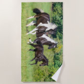 Barock Pinto Horses Herd with Cute Foal Galloping Strandlaken (Voorkant)