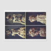 Barok & Steampunk Vrouwen & Schedels DQ7LF Decoupa Tissuepapier (Voorkant)