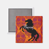 Baron Magnet (Voorkant / Achterkant)