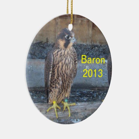 Baron Ornament 2013 (Rechts)