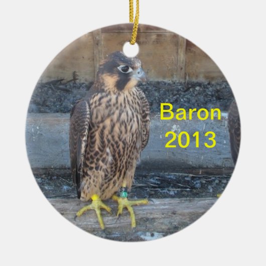 Baron Ornament 2013 (Voorkant)
