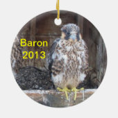 Baron Ornament 2013 (Achterkant)