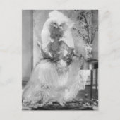 Barones in trouwjurk briefkaart (Voorkant)