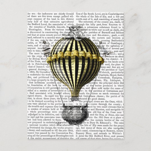 Baronische Fantasy-ballon 3 Briefkaart (Voorkant)
