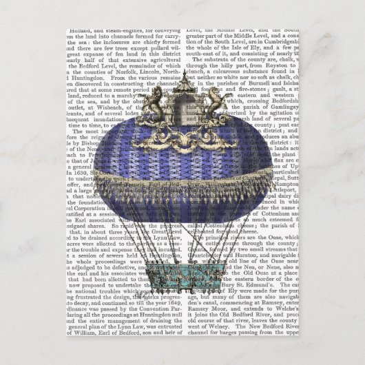 Baronische Fantasy-ballon 5 Briefkaart (Voorkant)