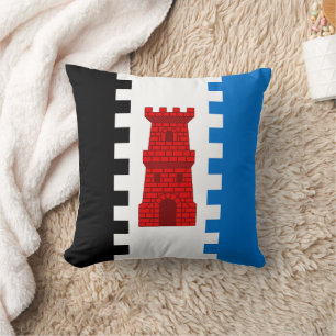 Barony of South Downs Populatie Badge Kussen