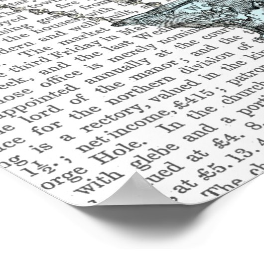 Baroque Fantasy Ballon 2 Poster (Hoek)