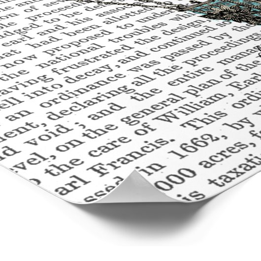 Baroque Fantasy-ballon Poster (Hoek)