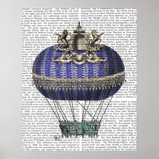 Baroque Fantasy-ballon Poster (Voorkant)