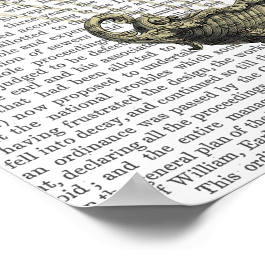 Baroque Fantasy-ballon Poster (Hoek)