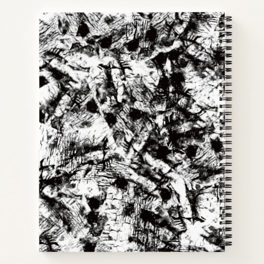 Baroque Gray-haire Testament Black Man Journal Notitieboek (Achterkant)