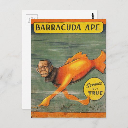 Barracuda Ape Briefkaart (Voorkant / Achterkant)