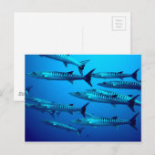 Barracuda Duik Diep zee Oceaanwater Tropische Golf Briefkaart (Voorkant / Achterkant)