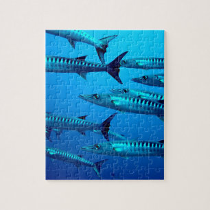 barracuda duiken diepzee oceaan water tropische go legpuzzel