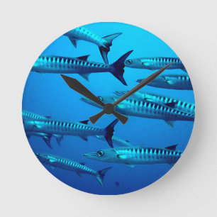 barracuda duiken diepzee oceaan water tropische go ronde klok