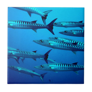 barracuda duiken diepzee oceaan water tropische go tegeltje
