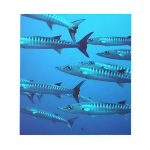 barracuda duiken diepzee oceaandiep water tropisch notitieblok