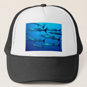barracuda duikt diep in de zee oceaanwater tropisc trucker pet