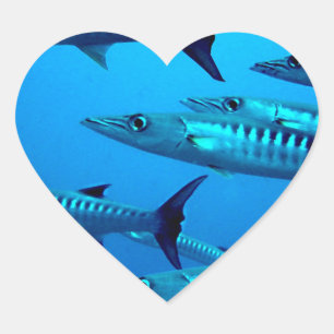 barracuda duikt diepzee oceaanaan water tropische  hart sticker