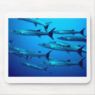barracuda duikt diepzee oceaanaan water tropische muismat