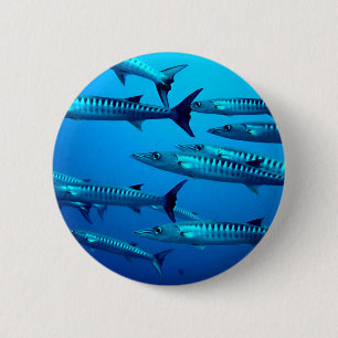 barracuda duikt diepzee oceaanaan water tropische  ronde button 5,7 cm