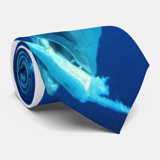 Barracuda eet zijn prooi stropdas (Opgerold)