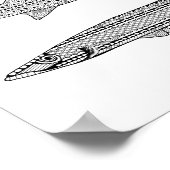 Barracuda Fish Adult Coloring Poster (Hoek)