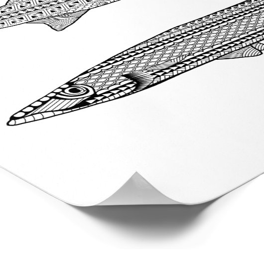 Barracuda Fish Adult Coloring Poster (Hoek)
