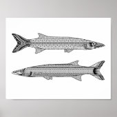 Barracuda Fish Adult Coloring Poster (Voorkant)