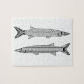 Barracuda Fish Adult Colour Puzzle Legpuzzel (Horizontaal)