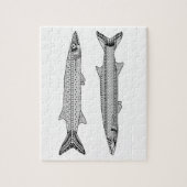Barracuda Fish Adult Colour Puzzle Legpuzzel (Verticaal)