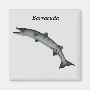 Barracuda Game Fish Magneet