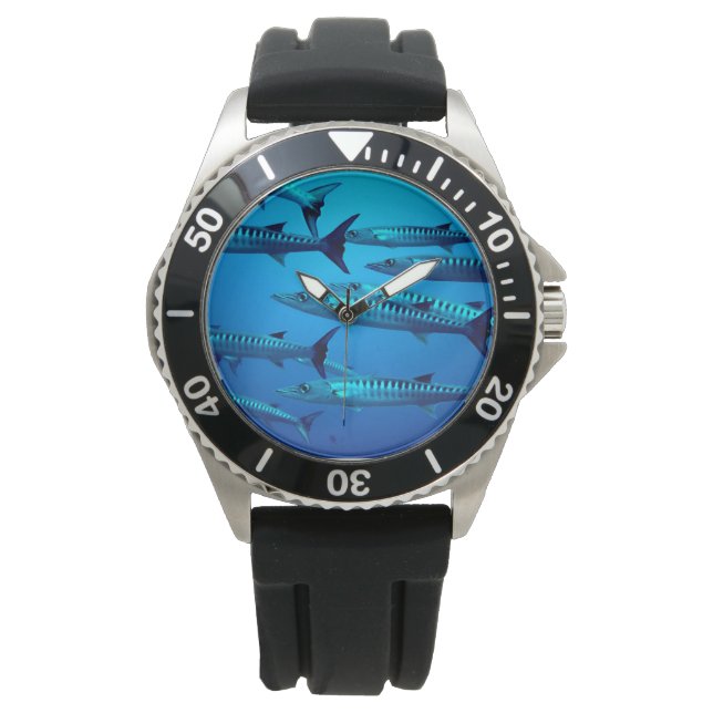 BARRACUDA. GEVAARLIJKE VIS. HORLOGE (Voorkant)