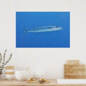 Barracuda in het blauw poster (Keuken)