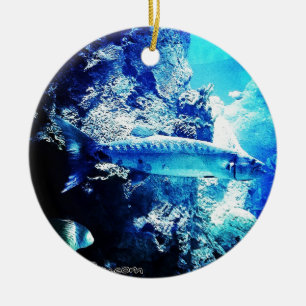Barracuda Keramisch Ornament
