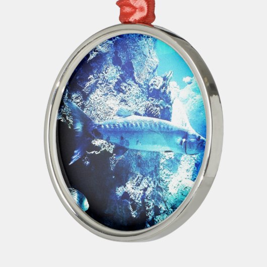 Barracuda Metalen Ornament (Links)