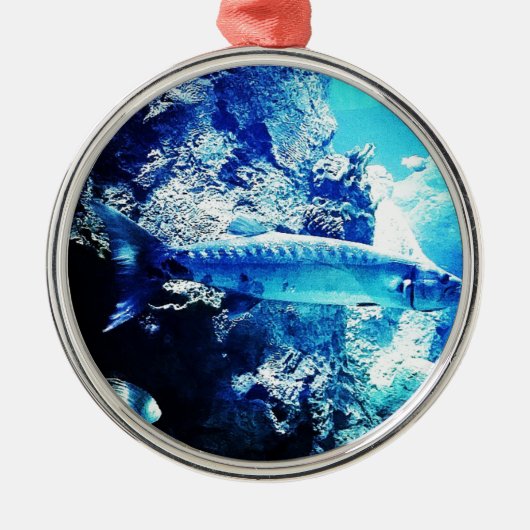 Barracuda Metalen Ornament (Voorkant)