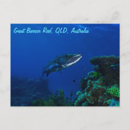 Barracuda over het Briefkaart van het Great Barrie