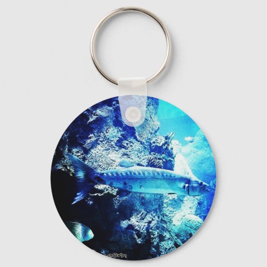 Barracuda Sleutelhanger (Voorkant)