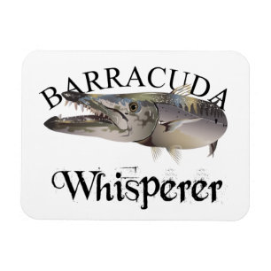 Barracuda Whisperer Light Colour Magneet