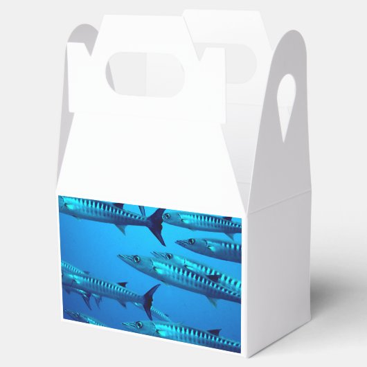 Barracudas Bedankdoosjes (Geopend)